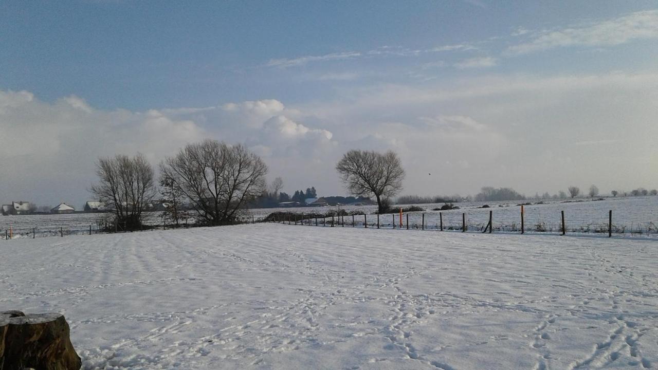 B & B Victors Hof, Met Zwemvijver In Landelijke Setting Lievegem Exteriér fotografie