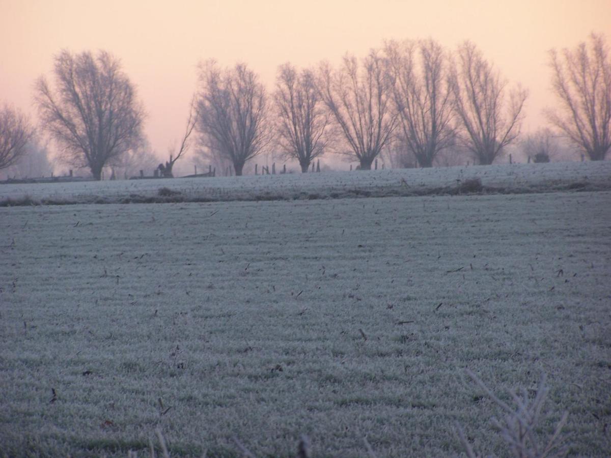 B & B Victors Hof, Met Zwemvijver In Landelijke Setting Lievegem Exteriér fotografie