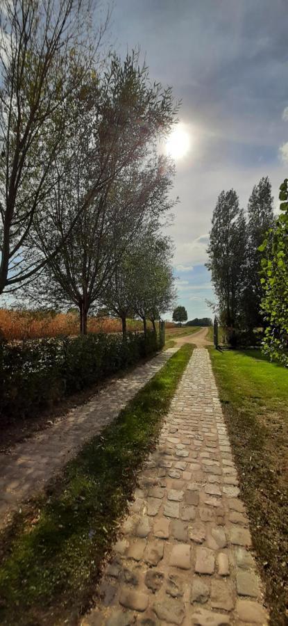 B & B Victors Hof, Met Zwemvijver In Landelijke Setting Lievegem Exteriér fotografie
